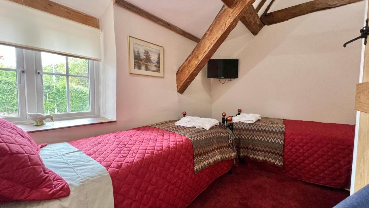 Cosy Cottage Wellington  Exterior foto